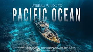 Why the Pacific Remains the Most Mysterious Ocean on Earth?