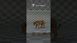 A model of a lion cub incorporated into a real scene. #blendermodel #mayamodel  #3danimation