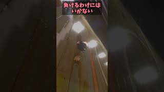 【ゆっくり茶番】饅頭ボール