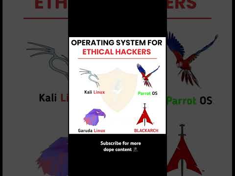 Assemble here all hacker and future hacker