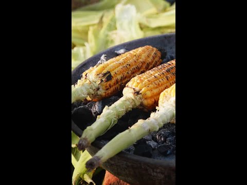 Food Safety Video Promo 2