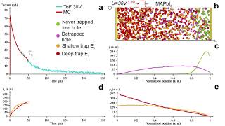 Hole transport and effect of traps in MAPbI3 perovskite