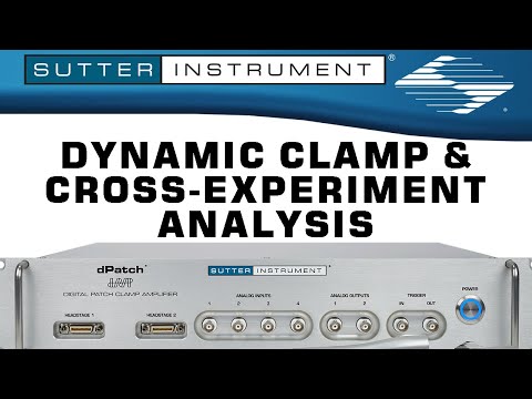 Dynamic Clamp and Cross-Experiment Analysis - Scientists Empowering Scientists