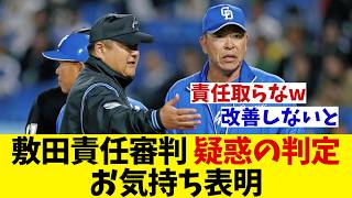 敷田責任審判　疑惑の判定を説明・・・【野球情報】【2ch 5ch】【なんJ なんG反応】【野球スレ】
