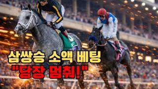 경마, 맞혔는데 왜 돈이 없나… "삼쌍승의 비극"