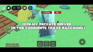 RACCOON METHOD ROBLOX GROW A GARDEN 2025