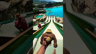 The monkey saw a 100 kg man🛁