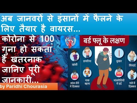 अब जानवरों से इंसानों में फैलने के लिए तैयार है वायरस  ||by Paridhi Chourasia ||