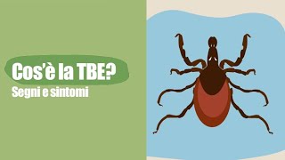Cos'è la TBE? - Segni e sintomi