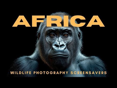African Wildlife Frame TV Art | 4K Screensavers | Africa Photography | Rotating Wildlife Wallpapers