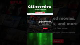 View CSS of any website - Colors, fonts and themes of any website
