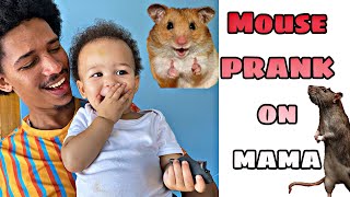 MOUSE PRANK ON MY WIFE