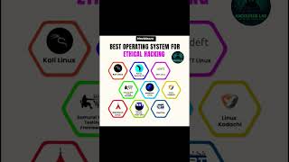 Top 10 Best Operating Systems for Ethical Hacking 🔥 | Kali Linux vs Parrot OS & More!