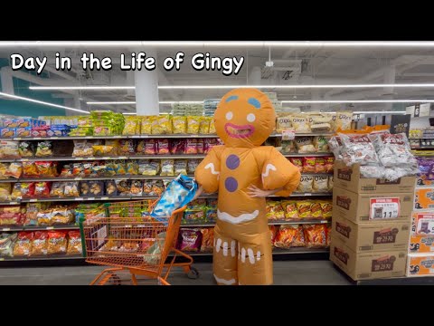 I wore a Gingerbread Costume to the Korean Market...(I got kicked out)