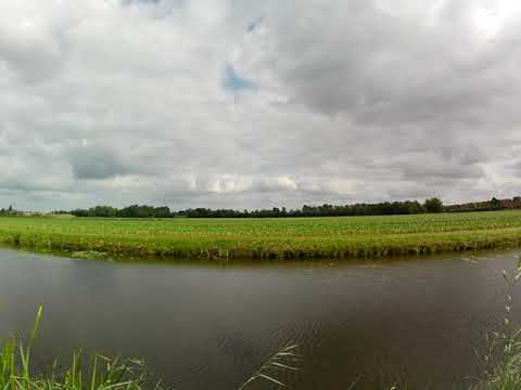 Timelapse achtertuin 2