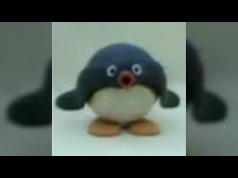 BBC SPORT — i just get noot noot