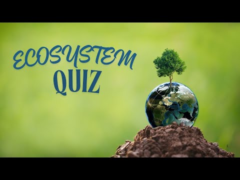 "Ecosystem Fun Quiz for Kids! 🌱🌍"