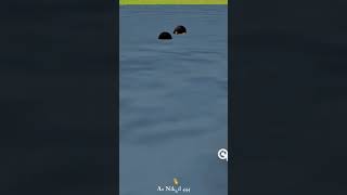 #indianvehiclesimulator3dgame #newupdate