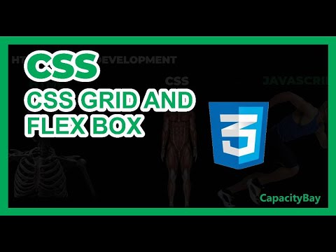 CSS Flex vs Grid Display| Learn CSS 11