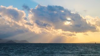 2025 — Year in Search (Audio Described)