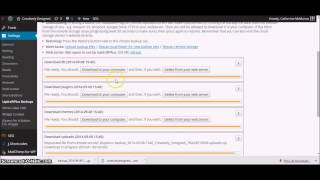 How to Update WordPress (+ backup your website)