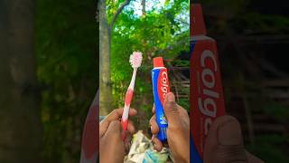 SURVIVAL SKILL AND USEFUL EVERY EVERY MORNING TOOTHPASTE 🪥#toothpastehack