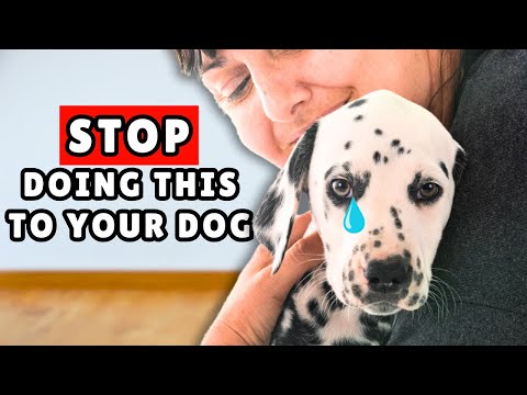 8 EVERYDAY Things That HURT Your Dog’s FEELINGS