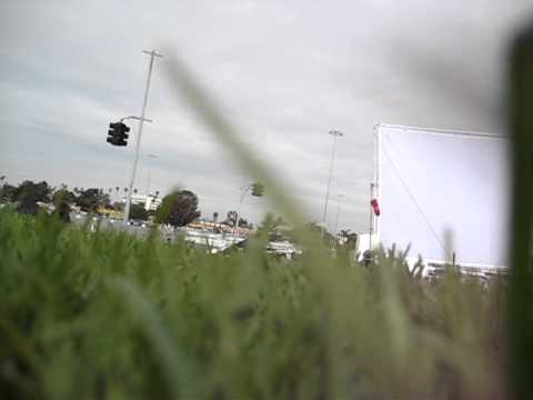 Camera walks on the grass