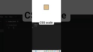 CSS Transform Scale Explained | Code Skillzz