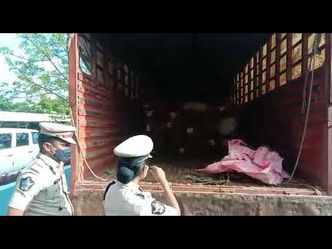 విజయనగరం బ్రేకింగ్ భారీగా పట్టుబడ్డ గంజాయి