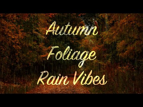 Autumn Foliage Rain Vibes 2.0 | 2 Hours