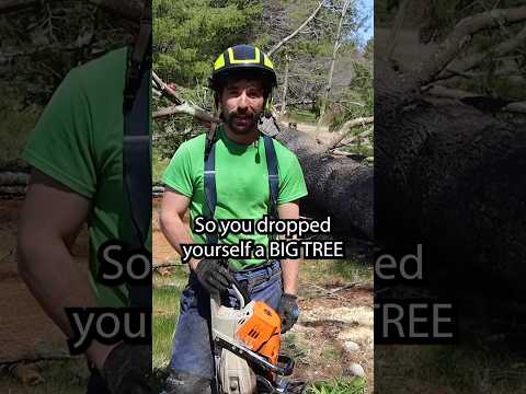 STOP GETTING YOUR CHAINSAW PINCHED!