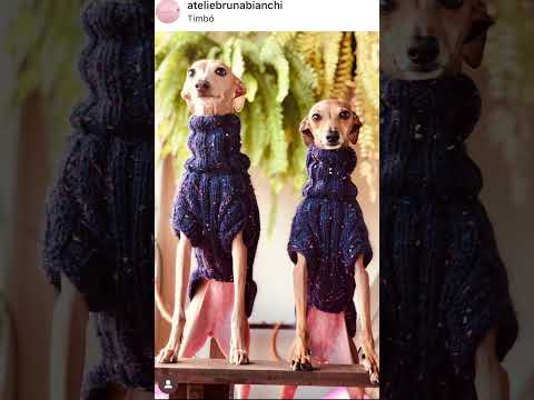Tricô para cachorro! #crochet #tricot  #pets