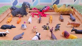 From Savannas to Seas: Exploring Domestic and Desert Animals Together in Mud