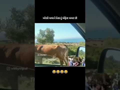 😂😂🤣 COMEDY VIDEOS#SHORT#VIDEO#VIRAL