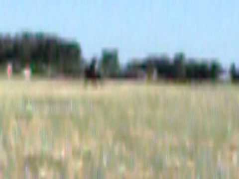 riding my horse