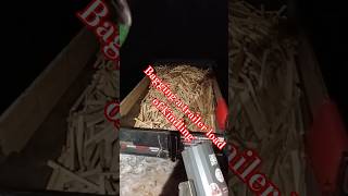 Wolf Ridge Bagger Bagging Kindling #viralvideo #viralshort #shorts