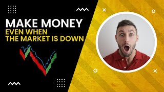 Results of the crypto trading bot test, eazybot, easybot