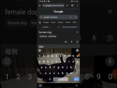 nah google is drunk