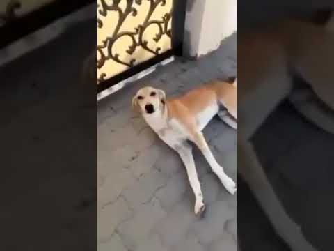 Kid runs from his problems in sandals