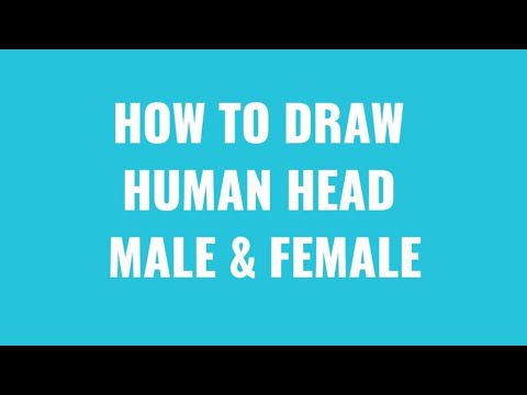 How to Draw Human Head (Male & Female) Angles like front, 3/4, sides, up, down, step by step Video-2