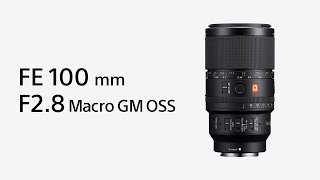 Introducing FE 100mm F2.8 Macro GM OSS | Sony | α Lens