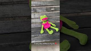 😢 #pepa #frog #loveyou #pepe #sister #giftideas #siblings #sis #feelsgoodman #friends #pepethefrog