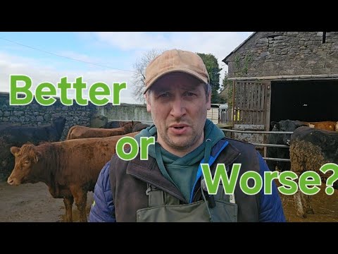 Winter cattle sales...better or worse than last year?