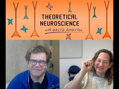 Episode #25: On growing synthetic dendrites – with Hermann Cuntz