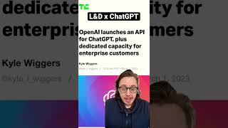 Chat GPT API hits the market, what now?