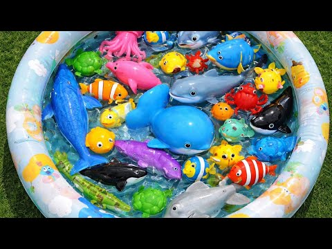 Learn Sea Animal Names 🐬 | Fun English Video for Kids & Toddlers