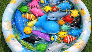 Learn Sea Animal Names 🐬 | Fun English Video for Kids & Toddlers