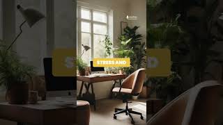 Full video @MillennialInvesting | Embrace the Idea of Margin of Safety