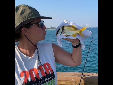 Florida Pier Fishing with Lynda & Jessica saves Pelican